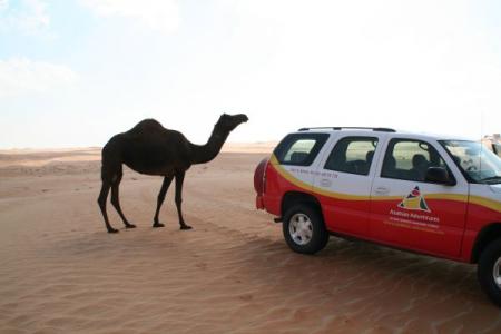 abu-dhabi-desert-safari-25.jpg
